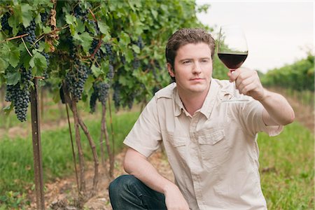 simsearch:600-05786510,k - Man in Vineyard Examining a Glass of Wine Stock Photo - Premium Royalty-Free, Code: 600-03153020