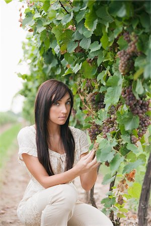 simsearch:700-05602728,k - Wine Maker Checking Grapes Stock Photo - Premium Royalty-Free, Code: 600-03153022