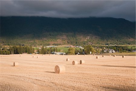 simsearch:700-06059677,k - Hay Bales on Farm Near Vernon, British Columbia, Canada Stock Photo - Premium Royalty-Free, Code: 600-03166537