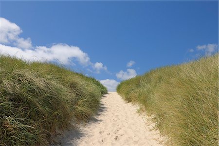 sand beach grass - Sylt, North Frisian Islands, Nordfriesland, Schleswig-Holstein, Germany Stock Photo - Premium Royalty-Free, Code: 600-03210270