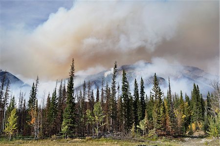 smoky - Forest Fire, Banff National Park, Alberta, Canada Foto de stock - Sin royalties Premium, Código: 600-03240629