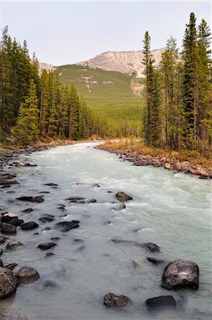 simsearch:600-03665755,k - La rivière Sunwapta, Parc National Jasper, Alberta, Canada Photographie de stock - Premium Libres de Droits, Code: 600-03240689