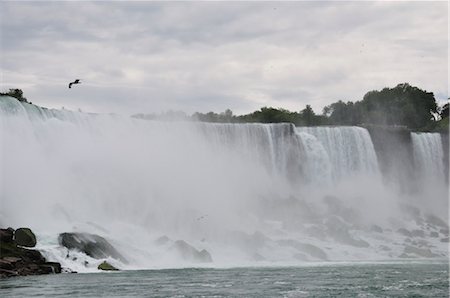 simsearch:700-03244155,k - Niagara Falls, Ontario, Canada Stock Photo - Premium Royalty-Free, Code: 600-03240704