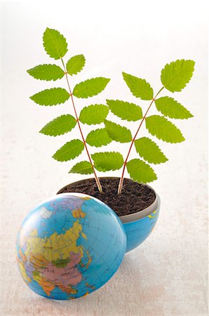 Plants Growing out of Globe Foto de stock - Sin royalties Premium, Código: 600-03284185