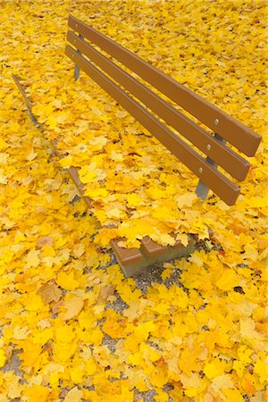 simsearch:600-03762602,k - Park Bench with Maple Leaves in Autumn, Nuremberg, Bavaria, Germany Stock Photo - Premium Royalty-Free, Code: 600-03297811
