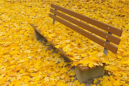 simsearch:600-03762602,k - Park Bench with Maple Leaves in Autumn, Nuremberg, Bavaria, Germany Stock Photo - Premium Royalty-Free, Code: 600-03297812