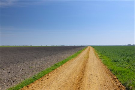 Path through fields in spring, Tadten, Burgenland, Austria Stock Photo - Premium Royalty-Free, Code: 600-03361628