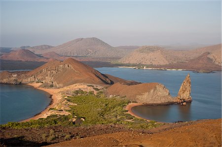 simsearch:600-02738422,k - Aux îles Galapagos, Equateur Photographie de stock - Premium Libres de Droits, Code: 600-03439412