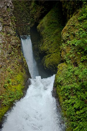 Wahclella Falls Near Bonneville Dam, Columbia River Gorge, Multnomah County, Oregon, USA Stock Photo - Premium Royalty-Free, Code: 600-03445247