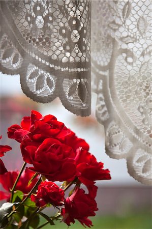 damir frkovic - Roses and Lace Curtain Stock Photo - Premium Royalty-Free, Code: 600-03456370