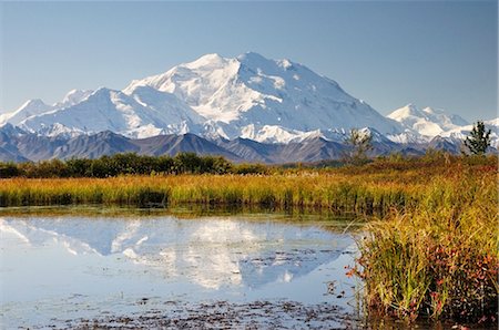 Mount McKinley, Denali National Park and Preserve, Alaska, USA Foto de stock - Sin royalties Premium, Código: 600-03450859