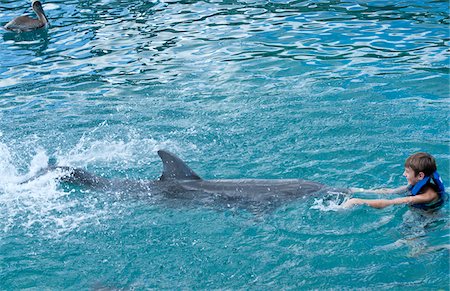 Swimming with Dolphins, Mexico Foto de stock - Sin royalties Premium, Código: 600-03466746