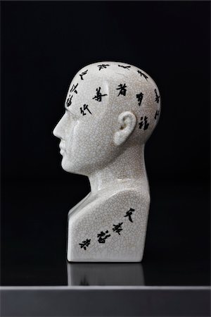 simsearch:600-04625586,k - Close-up of Sideview of Phrenology Head Stock Photo - Premium Royalty-Free, Code: 600-03553411
