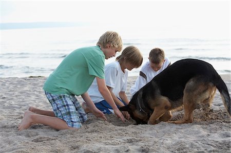 dog and boys playing image - Boys and Dog Digging Sand on the Beach Stock Photo - Premium Royalty-Free, Code: 600-03587330