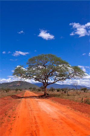 Tsavo National Park, Kenya Stock Photo - Premium Royalty-Free, Code: 600-03615450