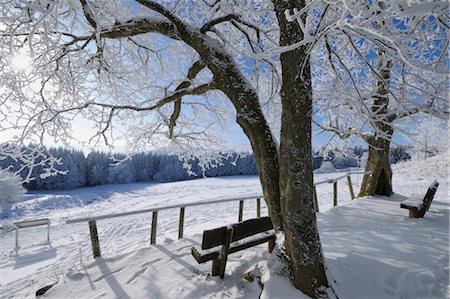 simsearch:700-03768721,k - Bench under Snow Covered Tree, Wasserkuppe, Rhon Mountains, Hesse, Germany Stock Photo - Premium Royalty-Free, Code: 600-03615526