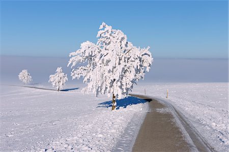 Track and trees with hoar-frost, winter landscape. Canton Zug, Switzerland Stock Photo - Premium Royalty-Free, Code: 600-03644627