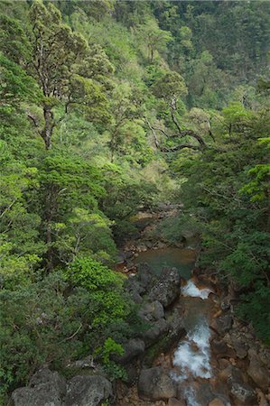 rainforest and water scenes - Tropical Rainforest, Miravalles, Cordillera de Guanacaste, Guanacaste, Costa Rica Stock Photo - Premium Royalty-Free, Code: 600-03685847