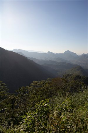 plantation - Hoja Blanca, Huehuetenango Department, Guatemala Stock Photo - Premium Royalty-Free, Code: 600-03686187