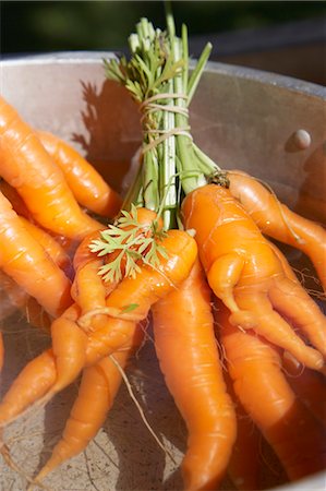 pot light - Close-up of Carrots, Portor, Aust-Agder, Western Norway, Norway Stock Photo - Premium Royalty-Free, Code: 600-03682033