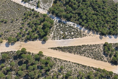 simsearch:600-02659595,k - Aerial View of Sandy Road in Pine Forest. Huelva Province, Andalusia, Spain Stock Photo - Premium Royalty-Free, Code: 600-03682230