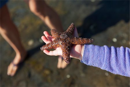 Girl Holding Sea Star, Orcas Island, San Juan Islands, Washington, USA Stock Photo - Premium Royalty-Free, Code: 600-03696741