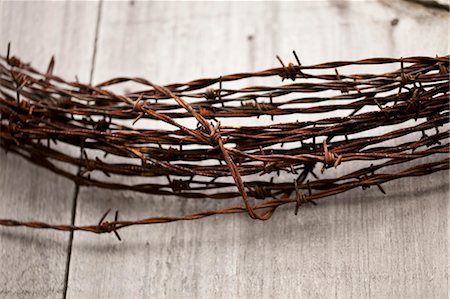 sharp - Close-up of Barbed Wire, Ontario, Canada Stock Photo - Premium Royalty-Free, Code: 600-03692122