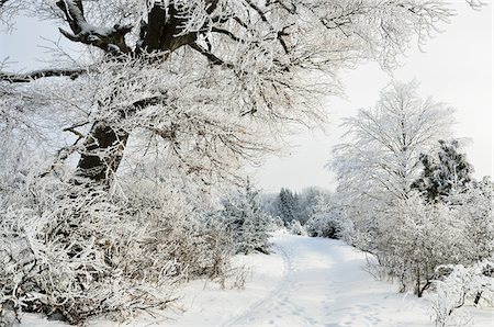 Winter Landscape, near Albstadt, Swabian Alb, Baden-Wuerttemberg, Germany Stock Photo - Premium Royalty-Free, Code: 600-03737885