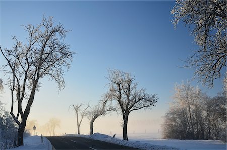 simsearch:700-03768721,k - Road Through Winter Landscape, near Villingen-Schwenningen, Black Forest, Schwarzwald-Baar, Baden-Wurttemberg, Germany Stock Photo - Premium Royalty-Free, Code: 600-03737998