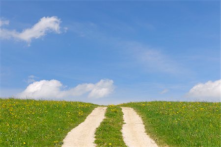 Tire Tracks through Meadow, Sonntagberg, Mostviertel, Lower Austria, Austria Stock Photo - Premium Royalty-Free, Code: 600-03738954