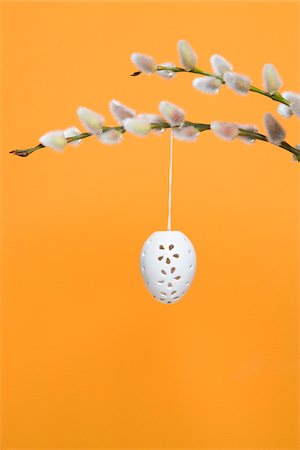 simsearch:600-07110444,k - Easter Egg hanging from Pussy Willow Branch Stock Photo - Premium Royalty-Free, Code: 600-03762547