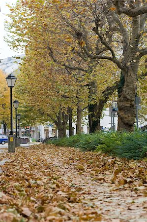 salzburg land - Bicycle Path, Salzburg, Austria Stock Photo - Premium Royalty-Free, Code: 600-03762599