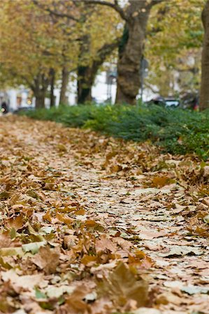 simsearch:600-03762602,k - Bicycle Path, Salzburg, Austria Stock Photo - Premium Royalty-Free, Code: 600-03762600