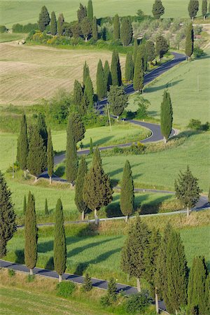 simsearch:600-06732610,k - Winding Road lined with Cypress Trees, Monticchiello, Siena Province, Tuscany, Italy Stock Photo - Premium Royalty-Free, Code: 600-03787193