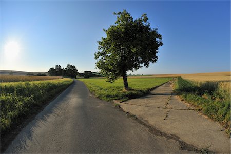 forked - Forked Road, Unterpleichfeld, Wurzburg District, Franconia, Bavaria, Germany Stock Photo - Premium Royalty-Free, Code: 600-03787412
