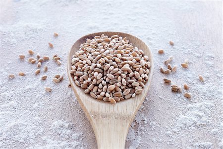 Spoonful of Cereal Grain Stock Photo - Premium Royalty-Free, Code: 600-03782491