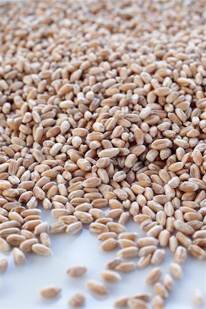 Cereal Grain Stock Photo - Premium Royalty-Free, Code: 600-03782492