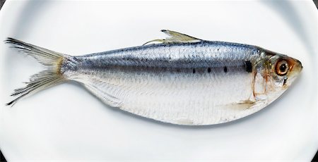 fish plate - Fresh Herring on Plate Stock Photo - Premium Royalty-Free, Code: 600-03805659