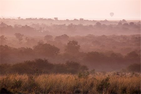 simsearch:873-06440549,k - Ballon à Air chaud au-dessus de Masai Mara National Reserve, Kenya Photographie de stock - Premium Libres de Droits, Code: 600-03814801