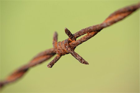 Rusty Barbed Wire, Hesse, Germany Stock Photo - Premium Royalty-Free, Code: 600-03836175