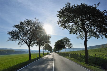 roads and sun - Country Road, Bredelar, Marsberg, Hochsauerland, North Rhine-Westphalia, Germany Foto de stock - Sin royalties Premium, Código: 600-03906989