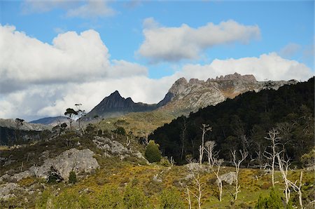 Cradle Mountain, Parc National de Cradle Mountain-Lake St Clair, UNESCO World Heritage zone, Tasmania, Australie Photographie de stock - Premium Libres de Droits, Code: 600-03907282