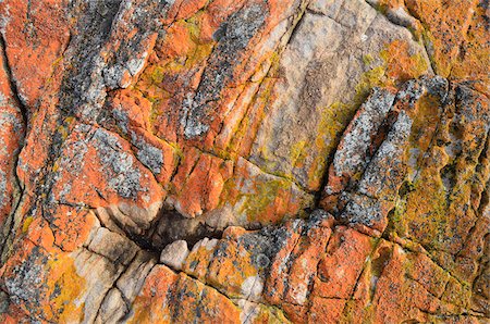 simsearch:600-07784413,k - Red Lichen on Rocks, Wineglass Bay, Freycinet National Park, Freycinet Peninsula, Tasmania, Australia Stock Photo - Premium Royalty-Free, Code: 600-03907309