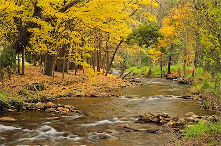 Barwidgee Creek, Myrtleford, Victoria, Australia Stock Photo - Premium Royalty-Free, Code: 600-03907359