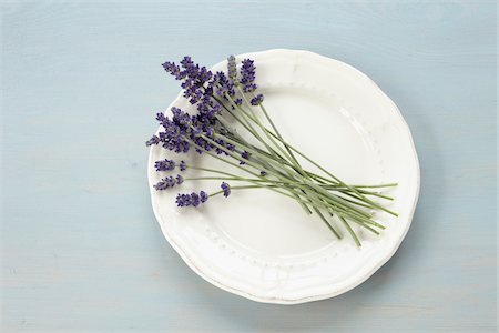 Lavender on Plate Stock Photo - Premium Royalty-Free, Code: 600-03907449