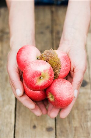 produce (fruits and vegetables) - Man holding ripe apples Stock Photo - Premium Royalty-Free, Code: 614-05650614