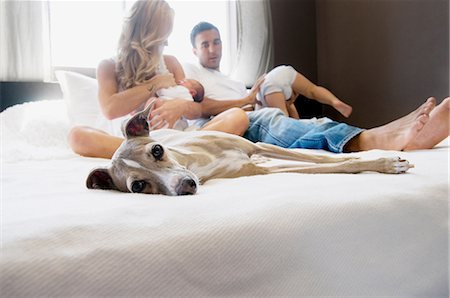 Chien de compagnie et de la famille avec le couple avec un bébé sur le lit Photographie de stock - Premium Libres de Droits, Code: 614-05955383