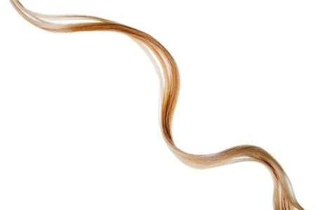 Piece of blonde hair Stock Photo - Premium Royalty-Free, Code: 614-06044128