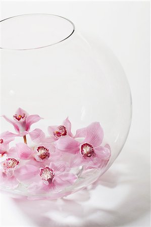 Pink flowers in glass bowl Foto de stock - Sin royalties Premium, Código: 614-06043705