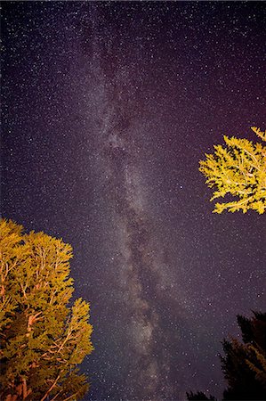 The Milky Way, Washington, USA Foto de stock - Sin royalties Premium, Código: 614-06311858